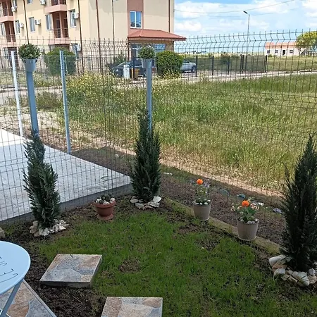 'campul Cu Maci' *
